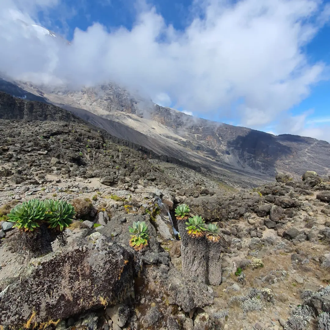 Machame Route Summit