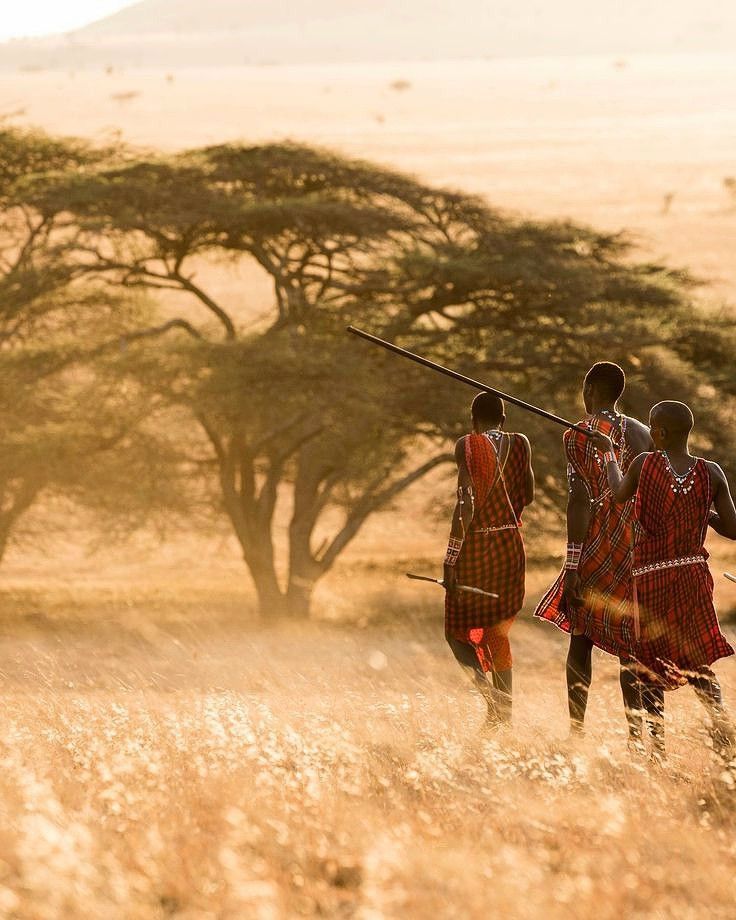 Serengeti Migration Safari