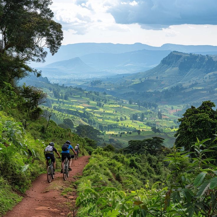 Tanzania landscape